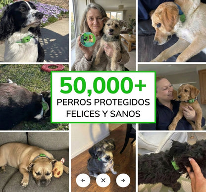 BioCan™ - Antiparasitario Natural Contra Pulgas y Garrapatas de 12 Meses de Duración para Perros